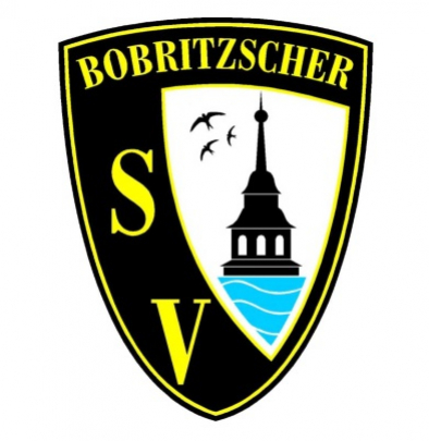 Logo_BSV